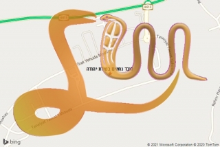לכידת נחש בטירת יהודה - לוכד נחשים בטירת יהודה