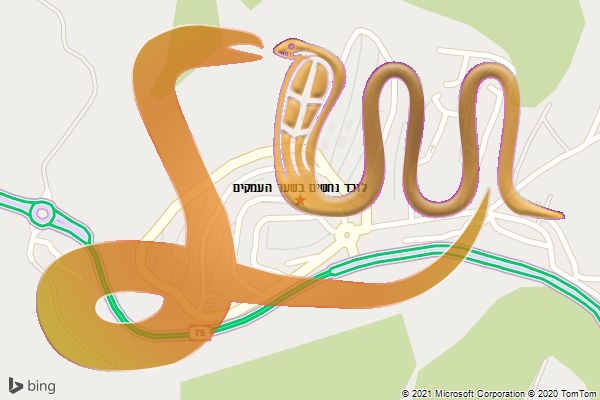 לוכד נחשים בשער העמקים