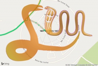 לכידת נחש בבר יוחאי - לוכד נחשים בבר יוחאי