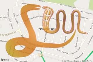  באליכין - לוכד נחשים באליכין