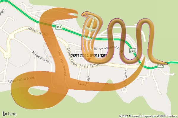 לוכד נחשים ברמת רזיאל