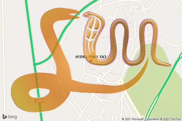לוכד נחשים במלכיה