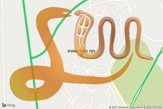 לכידת נחש במלכיה - לוכד נחשים במלכיה