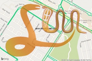 לכידת נחש במבואות חרמון - לוכד נחשים במבואות חרמון