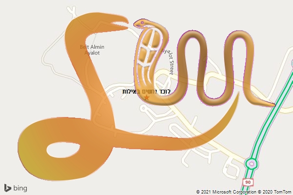 לוכד נחשים באילות