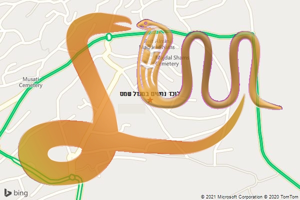 לוכד נחשים במגדל שמס