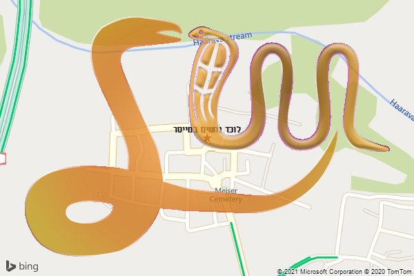 לוכד נחשים במייסר
