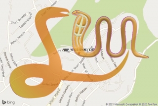לכידת נחש בכרמי יוסף - לוכד נחשים בכרמי יוסף