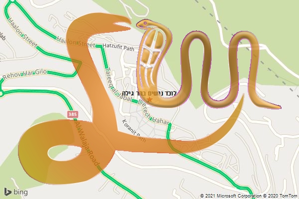 לוכד נחשים בהר גילה
