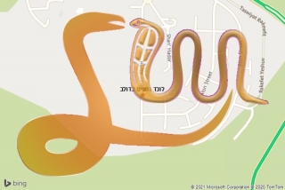 לכידת נחש בדולב - לוכד נחשים בדולב