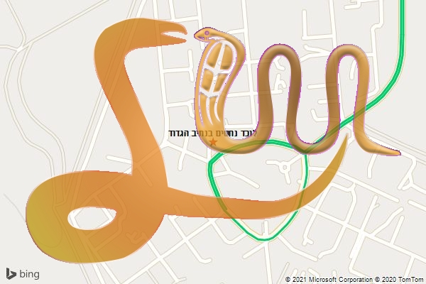 לוכד נחשים בנתיב הגדוד