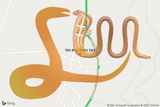 לכידת נחש בבית הלל - לוכד נחשים בבית הלל