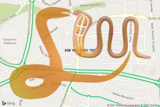 לכידת נחש בבאר שבע - לוכד נחשים בבאר שבע