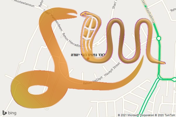 לוכד נחשים בגני יהודה