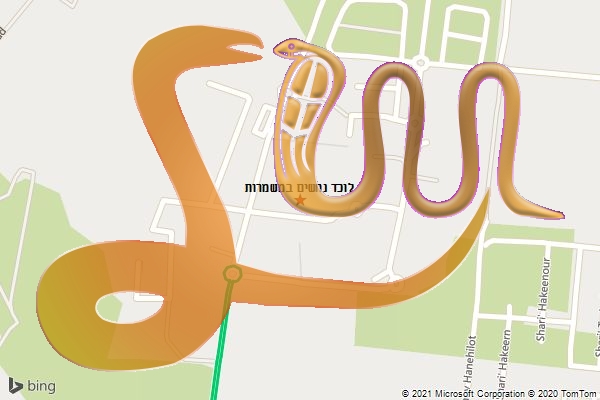 לוכד נחשים במשמרות