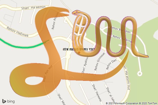 לוכד נחשים בגבעת אלה