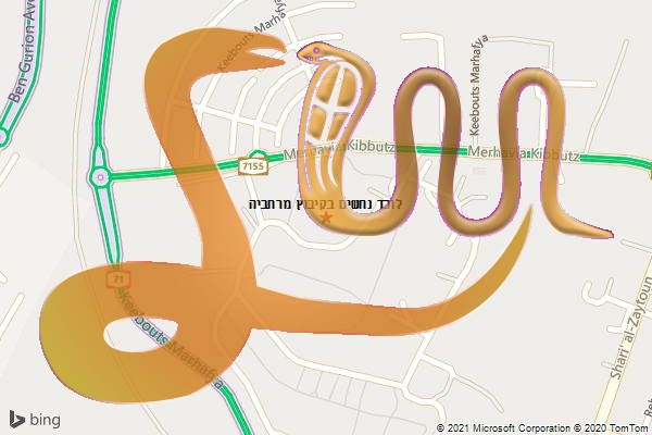 לוכד נחשים בקיבוץ מרחביה