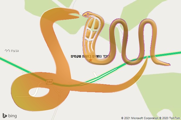 לוכד נחשים בחוות שקמים