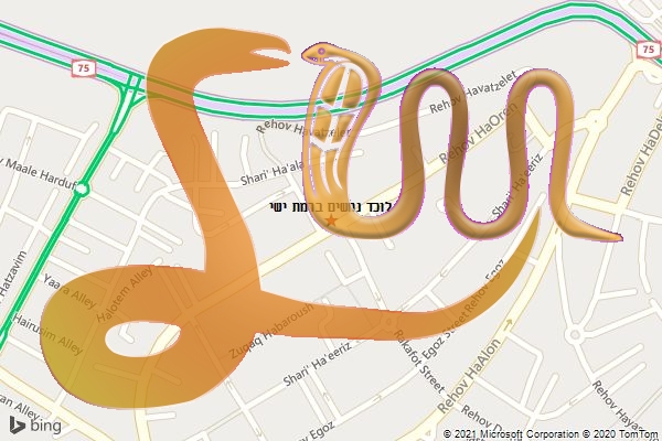 לוכד נחשים ברמת ישי