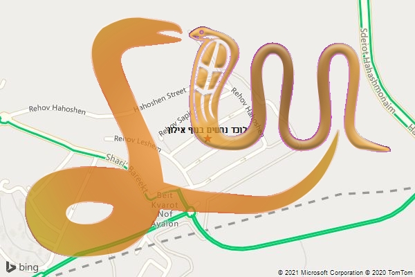 לוכד נחשים בנוף אילון