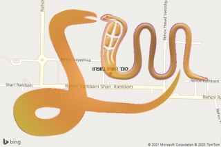 לכידת נחש בתפרח - לוכד נחשים בתפרח
