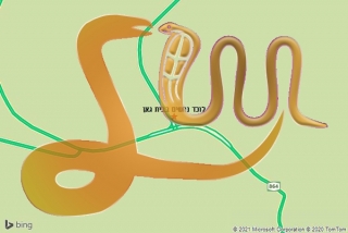 לכידת נחש בבית גאן - לוכד נחשים בבית גאן