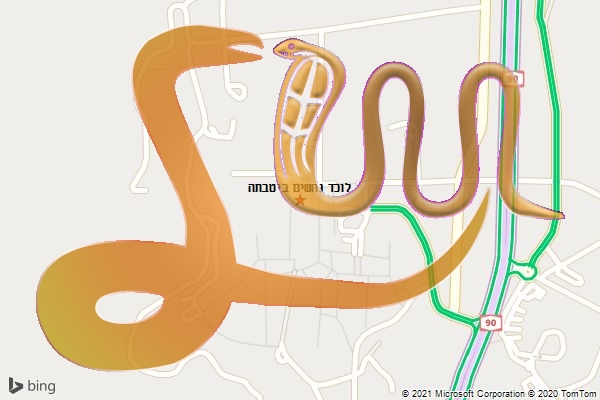 לוכד נחשים ביטבתה
