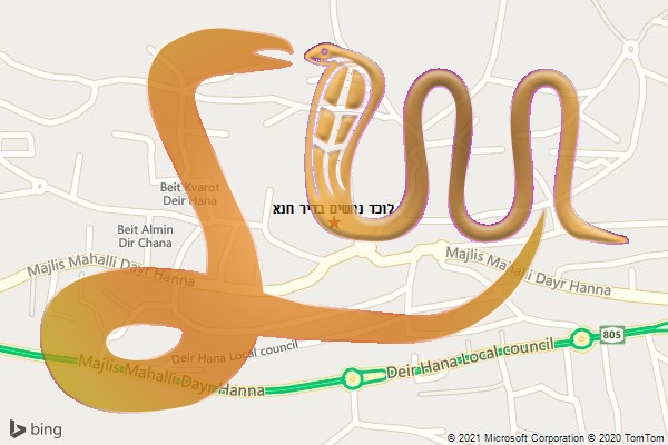 לוכד נחשים בדיר חנא