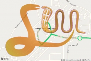 לכידת נחש בנתיב העשרה - לוכד נחשים בנתיב העשרה