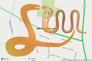 לכידת נחש בשער מנשה - לוכד נחשים בשער מנשה