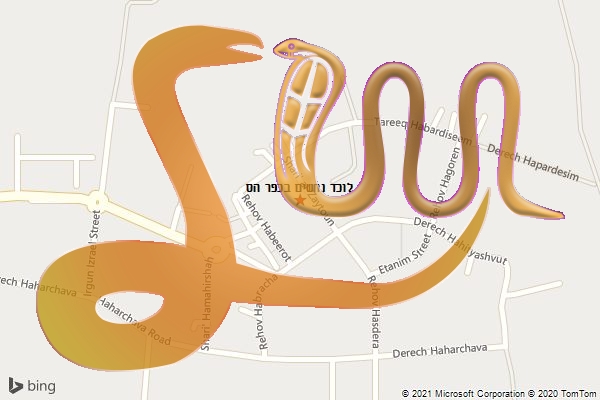 לוכד נחשים בכפר הס