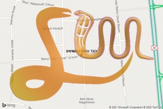 לכידת נחש במגשימים - לוכד נחשים במגשימים