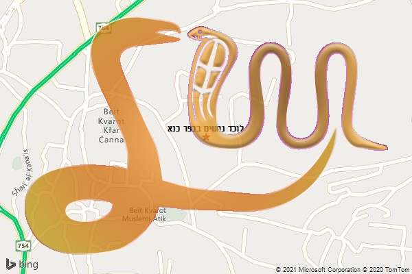 לוכד נחשים בכפר כנא