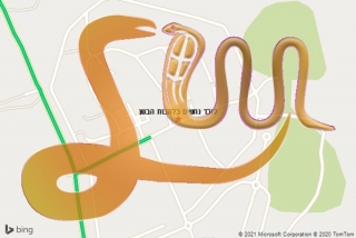 לכידת נחש בלהבות הבשן - לוכד נחשים בלהבות הבשן