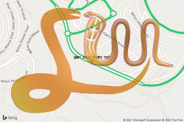 לוכד נחשים בכוכב יעקב