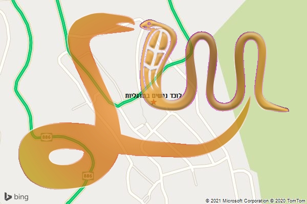 לוכד נחשים במרגליות