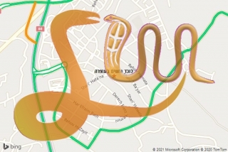 לכידת נחש בעופרה - לוכד נחשים בעופרה