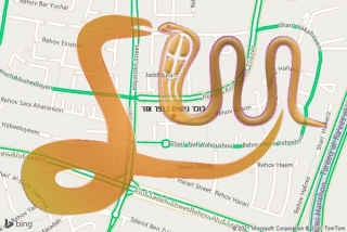 לכידת נחש בכפר אזר - לוכד נחשים בכפר אזר