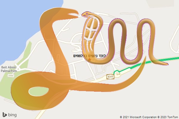 לוכד נחשים בפלמחים