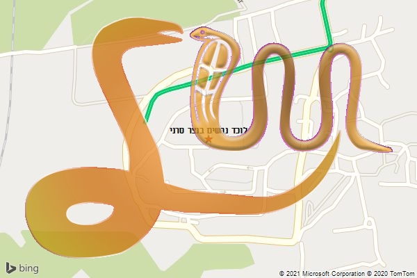 לוכד נחשים בנצר סרני
