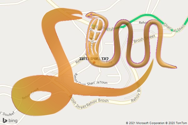 לוכד נחשים בדובב