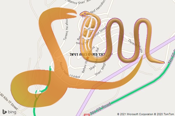 לוכד נחשים בנווה דניאל
