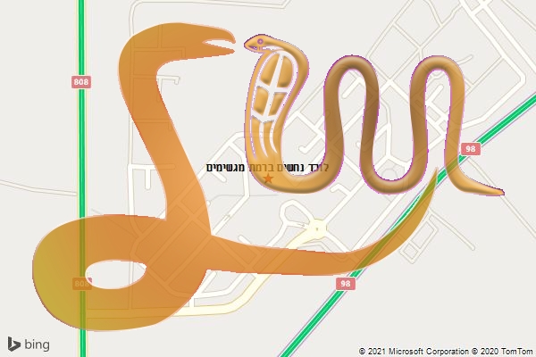 לוכד נחשים ברמת מגשימים