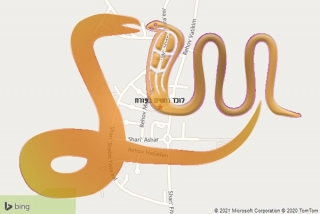 לכידת נחש בפורת - לוכד נחשים בפורת
