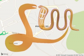 לכידת נחש בגבים - לוכד נחשים בגבים