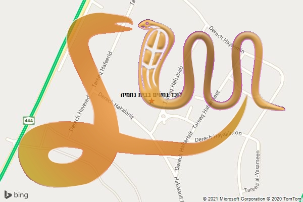לוכד נחשים בבית נחמיה