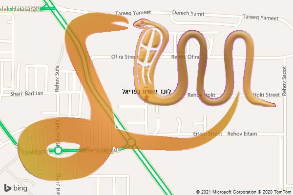 לוכד נחשים בפריאל