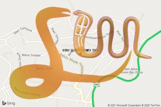 לכידת נחש בכרם בן זמרה - לוכד נחשים בכרם בן זמרה