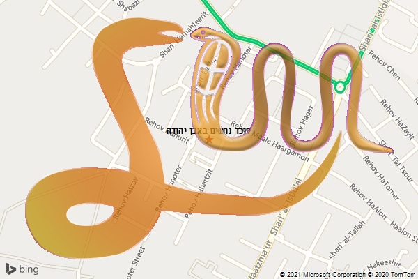 לוכד נחשים באבן יהודה