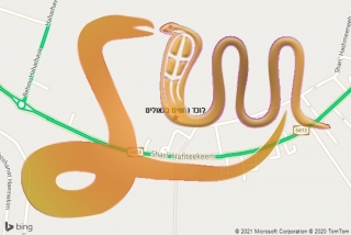 לכידת נחש בגאולים - לוכד נחשים בגאולים